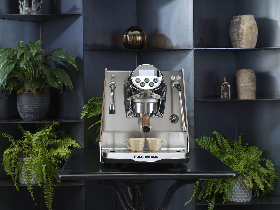 Faema Faemina A/1 GTI 5P 1 Group Espresso Machine