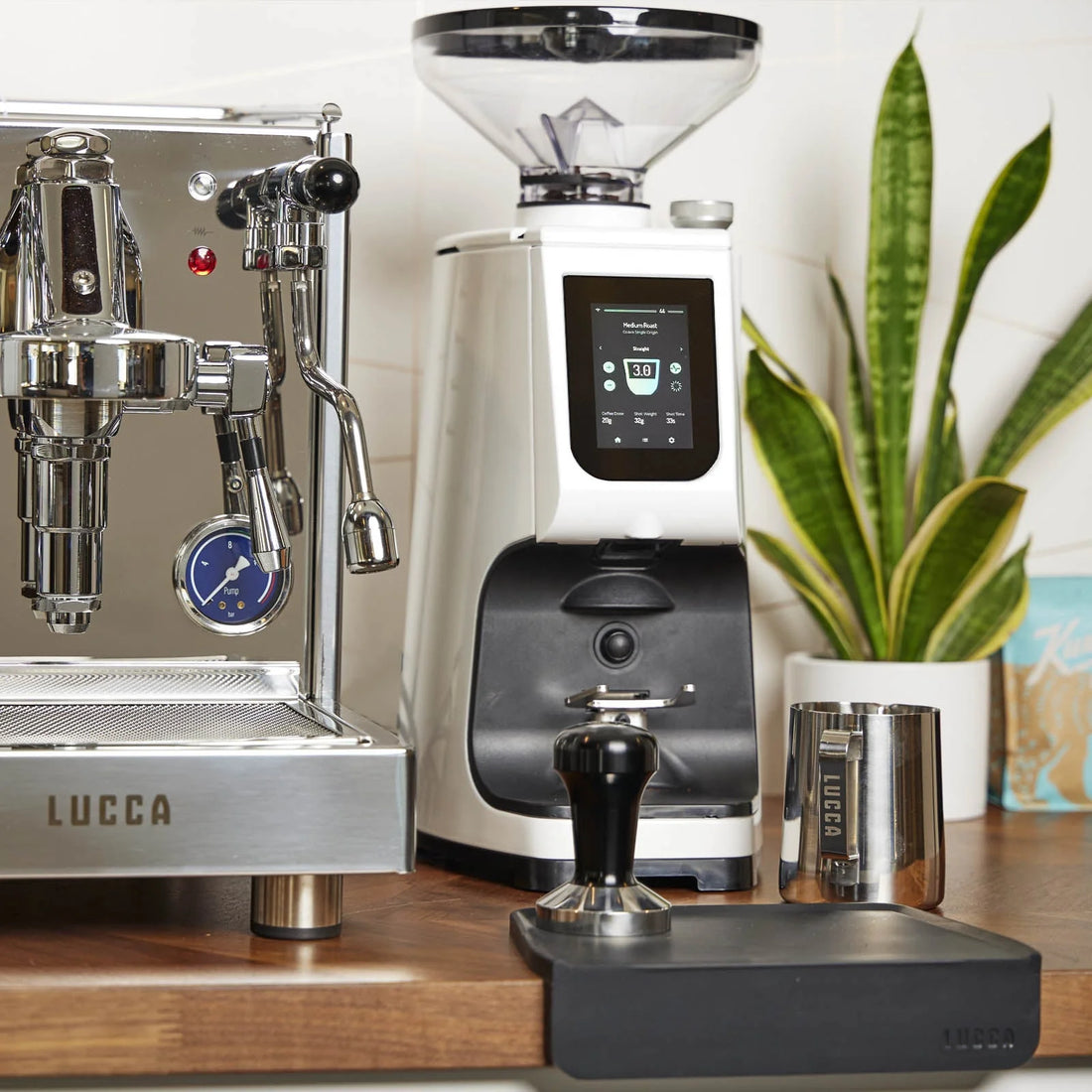 LUCCA Frothing Pitcher