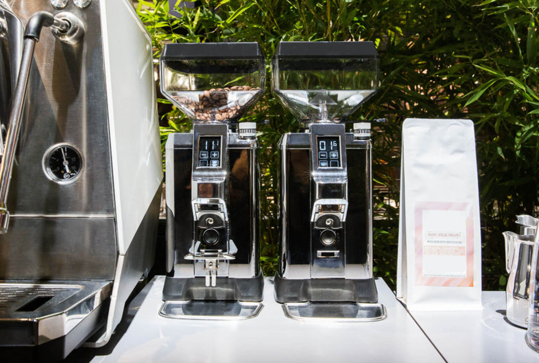 Faema Touch & Match Coffee Grinder Chrome