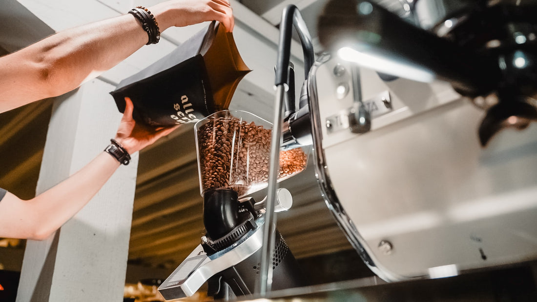 Ceado E37Z-Barista Espresso Grinder