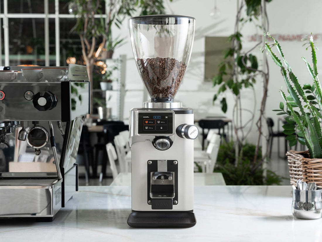 Ceado REV STEEL WAM Grind-by-Weight Espresso Grinder White